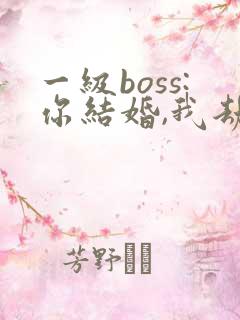 一级boss:你结婚,我劫婚