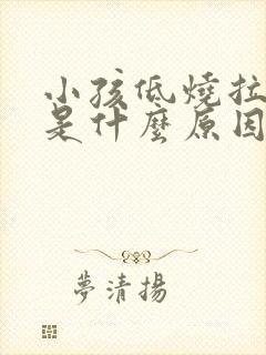 小孩低烧拉肚子是什么原因引起的