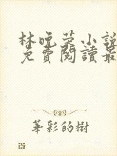 林晚荣小说全文免费阅读最新章节