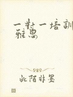 一对一培训价格 雅思