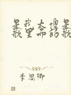 是我太傻是哪首歌里面的歌词