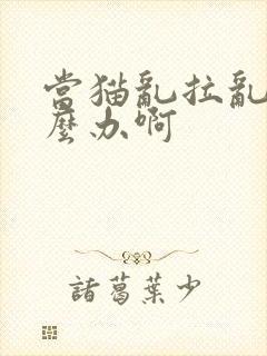 当猫乱拉乱尿怎么办啊