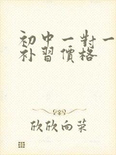 初中一对一英语补习价格