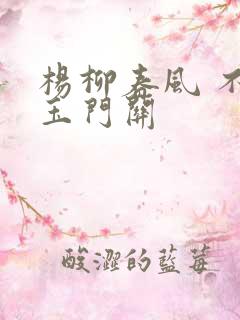 杨柳春风 不度玉门关