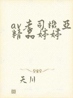 av老司机亚洲精品婷婷