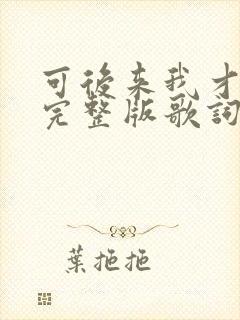 可后来我才明白完整版歌词