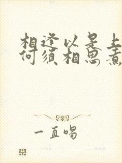 相逢以是上上签何须相思煮余年是什么意思