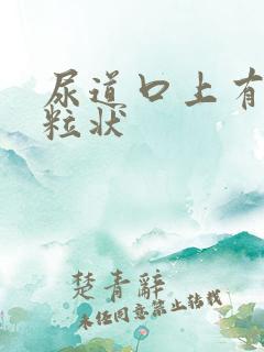 尿道口上有小颗粒状