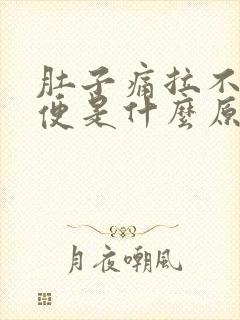 肚子痛拉不出大便是什么原因