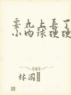 睾丸上长了一个小肉球硬硬的不痛不痒