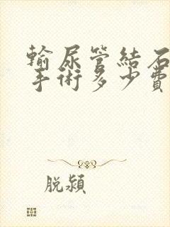 输尿管结石微创手术多少费用