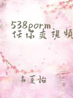 538porm任你爽视频