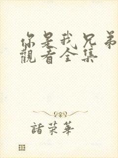 你是我兄弟免费观看全集