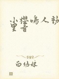 小樱鸣人动画哪里看