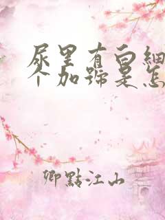 尿里有白细胞1个加号是怎么回事