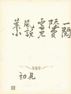 叶风云陆一曼的小说免费阅读