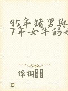 95年猪男与97年女牛的姻缘如何
