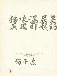 猫咪漏尿是什么原因引起的