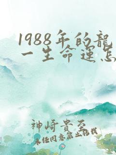 1988年的龙一生命运怎样