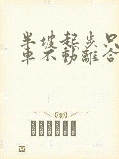 半坡起步只踩刹车不动离合行吗