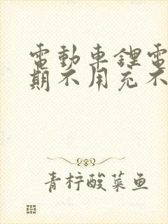 电动车锂电池长期不用充不进电怎么办