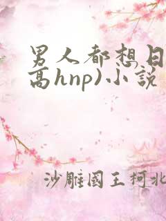男人都想日她(高hnp)小说