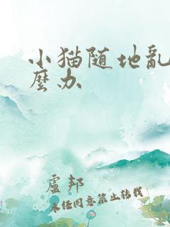 小猫随地乱尿怎么办