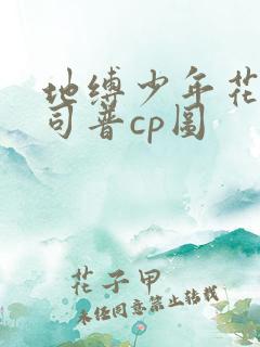 地缚少年花子君司普cp图