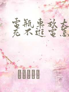 电瓶车放太久了充不进电怎么解决