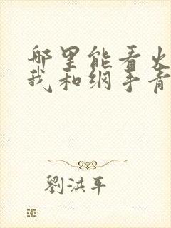 哪里能看火影,我和纲手青梅竹马