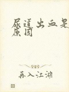 尿道出血是哪种原因