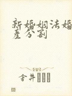 新婚姻法婚前财产分割