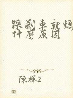 踩刹车就熄火是什么原因