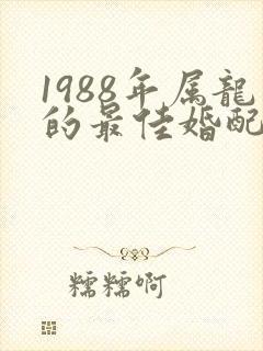 1988年属龙的最佳婚配表