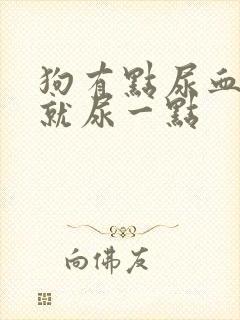 狗有点尿血每次就尿一点