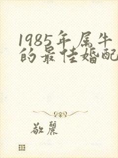1985年属牛的最佳婚配属相