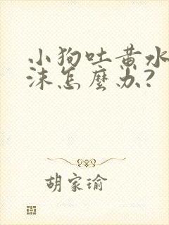 小狗吐黄水吐泡沫怎么办?