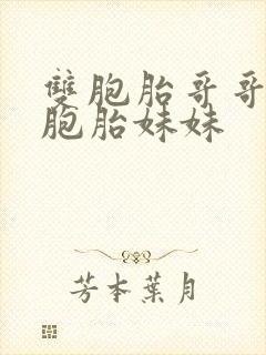 双胞胎哥哥和双胞胎妹妹