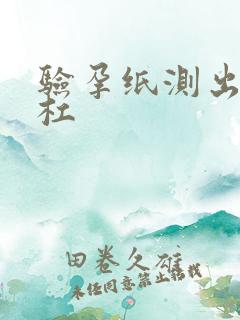 验孕纸测出两道杠