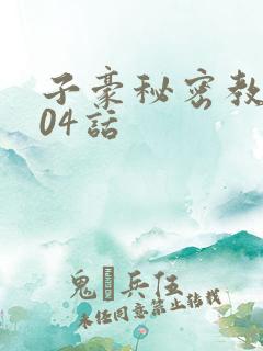 子豪秘密教学204话