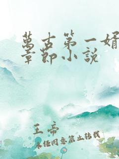 万古第一婿最新章节小说