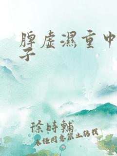 脾虚湿重中药方子