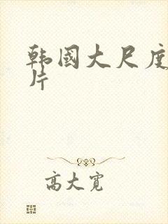 韩国大尺度理伦片
