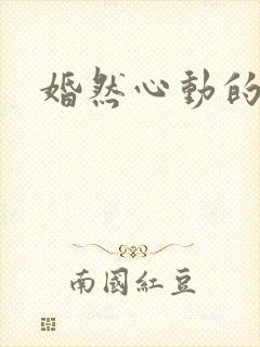 婚然心动的小说