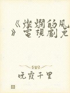 《灿烂的风和海》电视剧免费观看