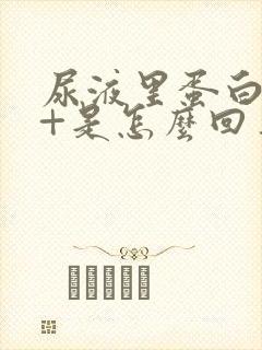 尿液里蛋白质1+是怎么回事