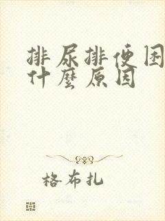 排尿排便困难是什么原因