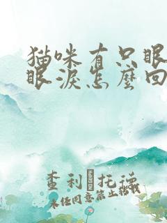 猫咪有只眼睛流眼泪怎么回事