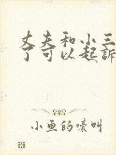 丈夫和小三同居了可以起诉什么