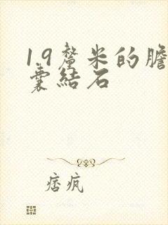 1.9厘米的胆囊结石